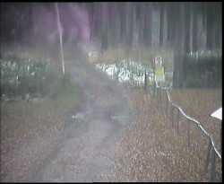 Nástup na běžecké tratě