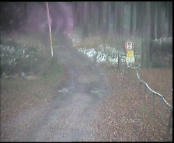 Nástup na běžecké tratě