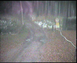 Nástup na běžecké tratě