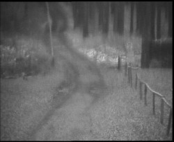 Nástup na běžecké tratě