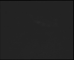 Nástup na běžecké tratě