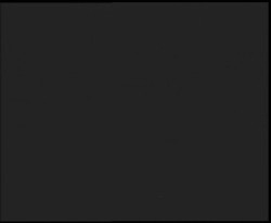 Nástup na běžecké tratě