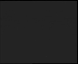 Nástup na běžecké tratě