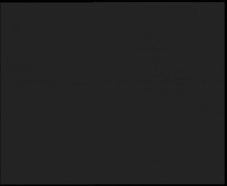 Nástup na běžecké tratě