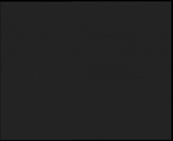 Nástup na běžecké tratě