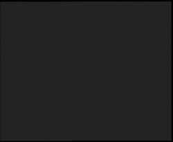 Nástup na běžecké tratě