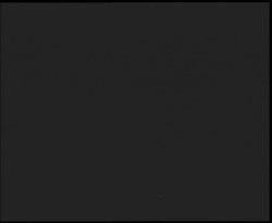 Nástup na běžecké tratě