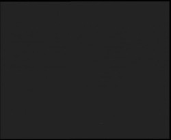 Nástup na běžecké tratě