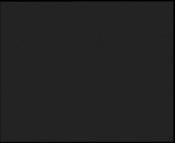 Nástup na běžecké tratě