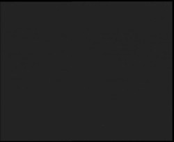 Nástup na běžecké tratě