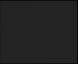 Nástup na běžecké tratě