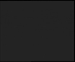 Nástup na běžecké tratě