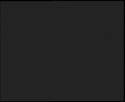 Nástup na běžecké tratě