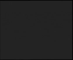 Nástup na běžecké tratě