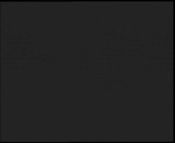 Nástup na běžecké tratě