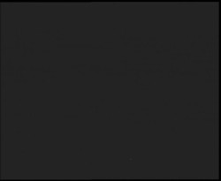 Nástup na běžecké tratě