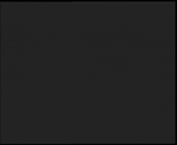 Nástup na běžecké tratě