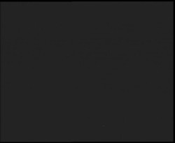 Nástup na běžecké tratě