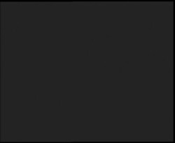 Nástup na běžecké tratě