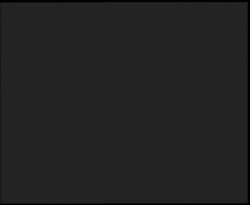 Nástup na běžecké tratě