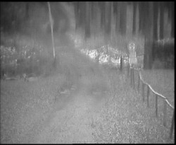 Nástup na běžecké tratě