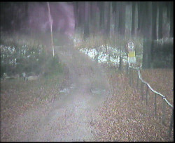 Nástup na běžecké tratě