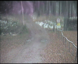 Nástup na běžecké tratě