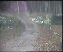 Nástup na běžecké tratě