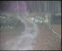 Nástup na běžecké tratě