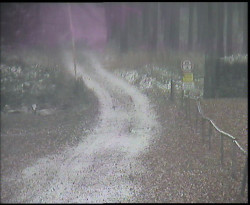 Nástup na běžecké tratě