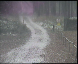 Nástup na běžecké tratě