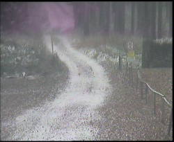 Nástup na běžecké tratě