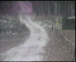 Nástup na běžecké tratě