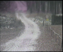 Nástup na běžecké tratě