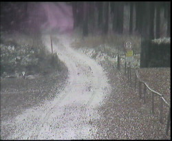 Nástup na běžecké tratě