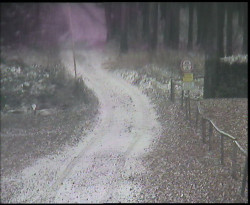 Nástup na běžecké tratě