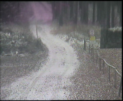 Nástup na běžecké tratě