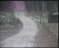 Nástup na běžecké tratě