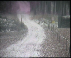 Nástup na běžecké tratě