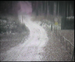 Nástup na běžecké tratě