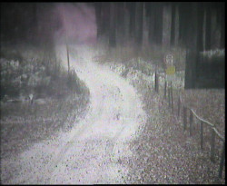 Nástup na běžecké tratě