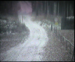 Nástup na běžecké tratě