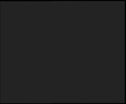 Nástup na běžecké tratě