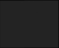 Nástup na běžecké tratě