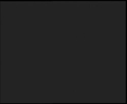 Nástup na běžecké tratě