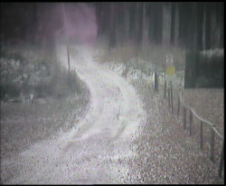 Nástup na běžecké tratě