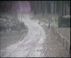 Nástup na běžecké tratě