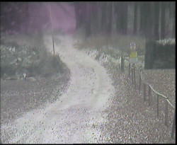 Nástup na běžecké tratě