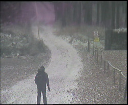 Nástup na běžecké tratě