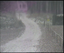 Nástup na běžecké tratě